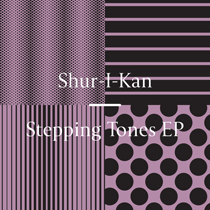Stepping Tones EP Test Press (Inc Kim Brown Remix)